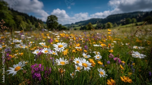 A vibrant field of wildflowers in full bloom, rolling hills in the background under a partly cloudy sky