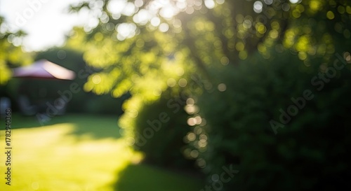 Fototapeta Naklejka Na Ścianę i Meble -  Abstract summer garden scene with bokeh and blurred green foliage