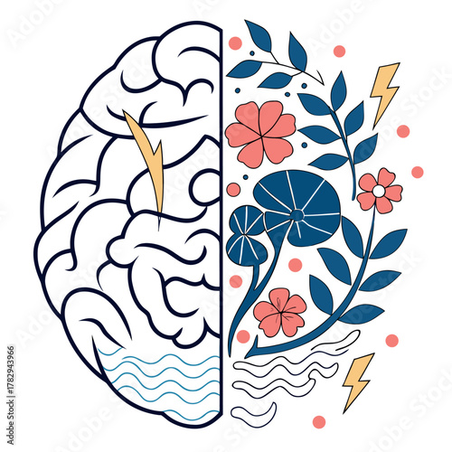 Human brain hemisphere illustrating logic and creativity concepts