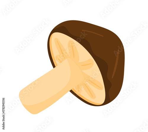 Shiitake Mushroom Cartoon Vector Illustration for Food Ingredient and Topping