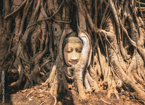 Buddha Head at Wat Mahathat in Ayutthaya, Thailand