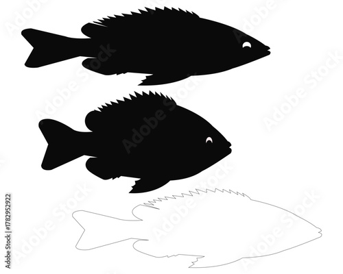 vector illustration of a fish