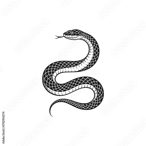 A poisonous snake looking for prey. Black white vector illustration.