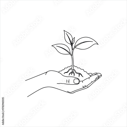 Tender hand holding a seedling with soil, nurturing growth and new beginnings for a sustainable future and environmental responsibility
