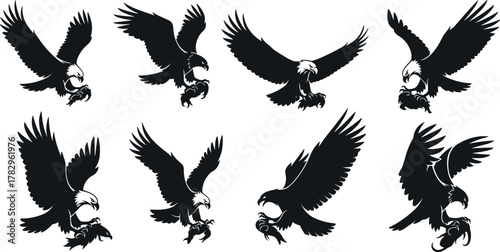Eagle illustration, flying eagle vector, hunting eagle pose, black and white eagle, bird of prey, eagle silhouette, dynamic sketch