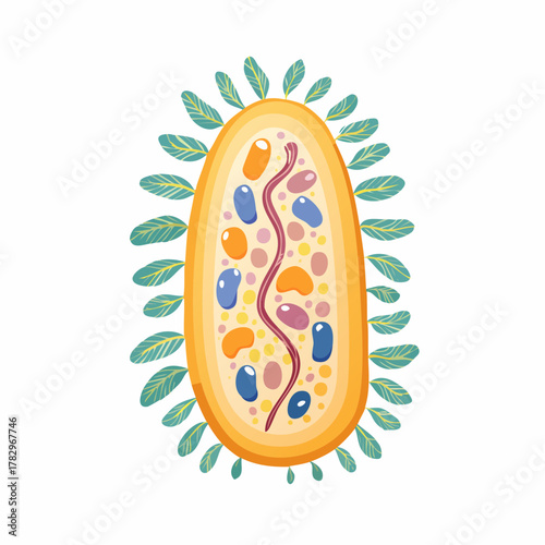 Artistic illustration of a bacterial cell.