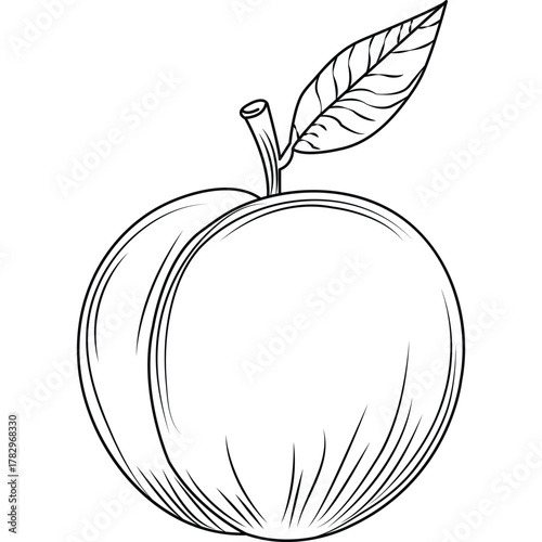 peach fruit food meal healthy coloring kid book page in black and white monochrome and samples