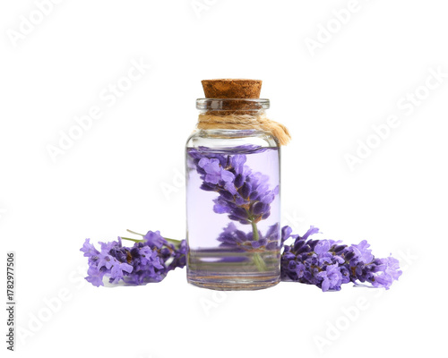 lavender oil in glass bottle on white background.