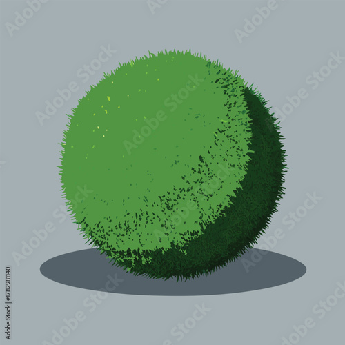 Textured Green Spherical Topiary Bush with Shadow plant