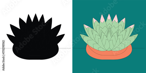 Vibrant succulent plant on contrasting backgrounds for modern designs, adding a touch of nature and artistic flair to any project with clean, bold lines