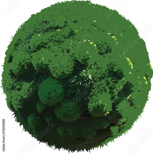 Top view of a dense green tree canopy with black background