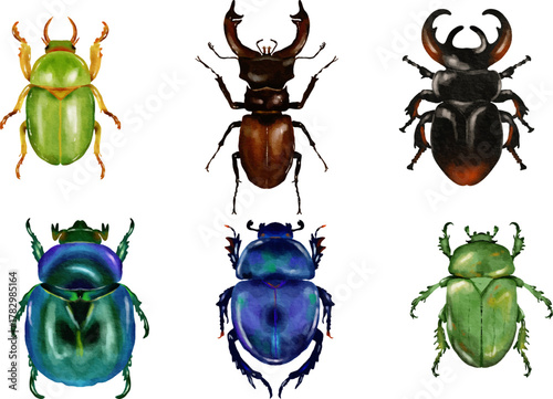 Colorful beetle collection in watercolor style. A vibrant set of watercolor beetles with various shapes and colors, including stag beetles and scarabs. Ideal for nature illustrations, entomology theme