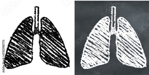 Chalk Handdrawn Human Lungs Vector Textured chalk hand-drawn vector illustration of the human lungs. Perfect for medical, biology, education, health, and anatomy