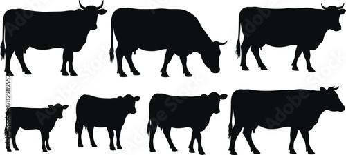 Black silhouette illustration of cows and calves standing and grazing, vector artwork for agriculture, livestock, dairy farming, rural animal, and farm life concept design