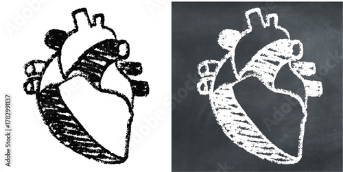 Chalk Handdrawn Human Hearts Vector Textured chalk hand-drawn vector illustration of the human heart. Ideal for medical, biology, anatomy, and health concepts, representing circulation and life.