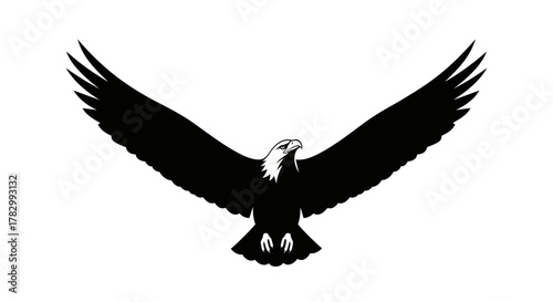 Eagle in flight with transparent background