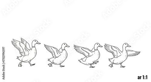 Duck walking sequence with transparent background