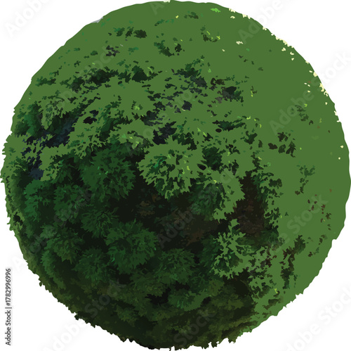 Green spherical bush with colorful light streaks Keywords: bush, sphere, green, plant, nature