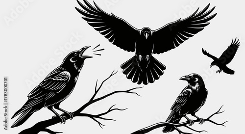 Black crows perched on branches with transparent background