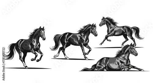 Black horses running and resting in monochrome style