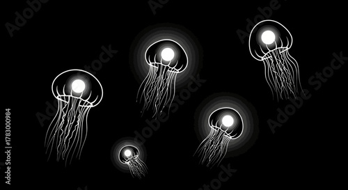 Jellyfish outline collection with transparent background