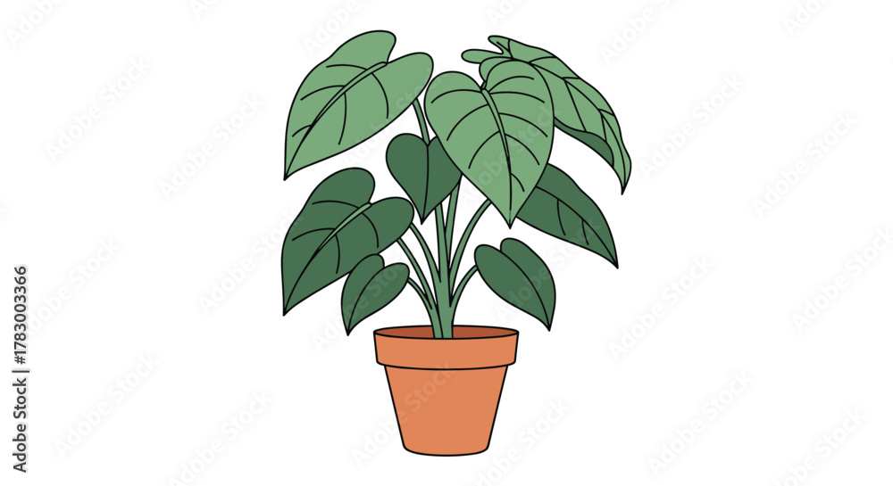 Obraz premium A simple and stylish illustration of a vibrant green houseplant with broad, heart-shaped leaves in a classic terracotta pot.