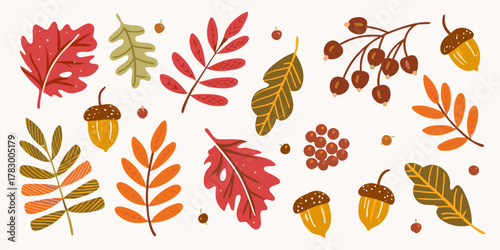Collection of autumn leaves acorns and berries in warm fall colors on a white background
