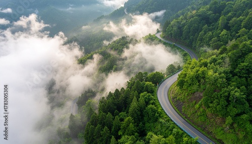 A stunning aerial perspective of a serpentine road navigating through a dense, lush green mountain forest enveloped in ethereal morning mist
