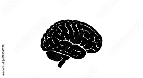 Striking silhouette of a human brain, symbolizing intellect, knowledge, and complex thought processes for educational and medical concepts.