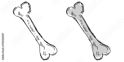 Grunge Sketch Hand-drawn Bone Vector Artistic grunge sketch vector of a human or animal bone, hand-drawn style. Great for medical, educational, horror, or expressive anatomical projects.