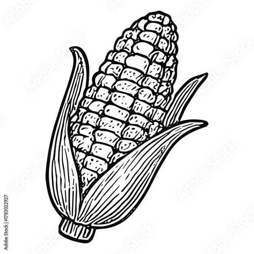 Corn