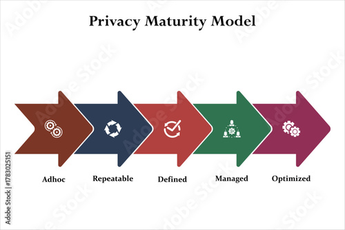 Five aspects of Privacy Maturity Model. Infographic template with icons and description placeholder