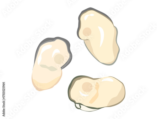 牡蠣をイメージしたイラスト