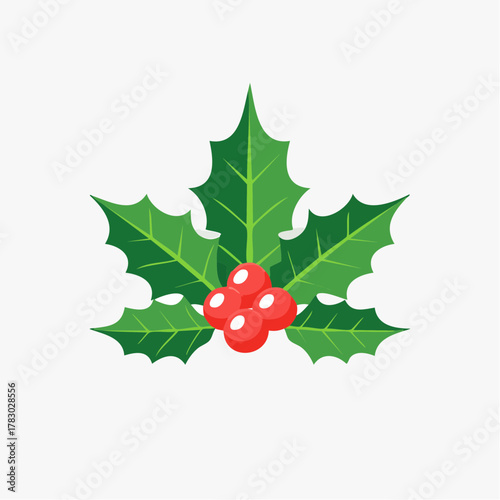Holly berry icons set, Chritmas logo wirh holly berries.Christmas holly berry flat vector illustration icons set ,Cartoon holly leaves and berries.A simple illustration of holly leaves and berries