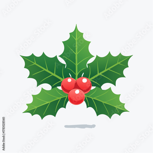 Holly berry icons set, Chritmas logo wirh holly berries.Christmas holly berry flat vector illustration icons set ,Cartoon holly leaves and berries.A simple illustration of holly leaves and berries