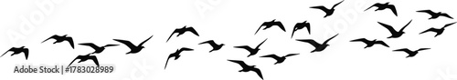 Silhouette of flying birds, flock in motion, black birds on white background, nature freedom concept, wildlife migration, peaceful sky scene