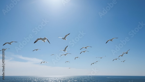Flock of birds soaring over ocean clear summer sky background nature photography