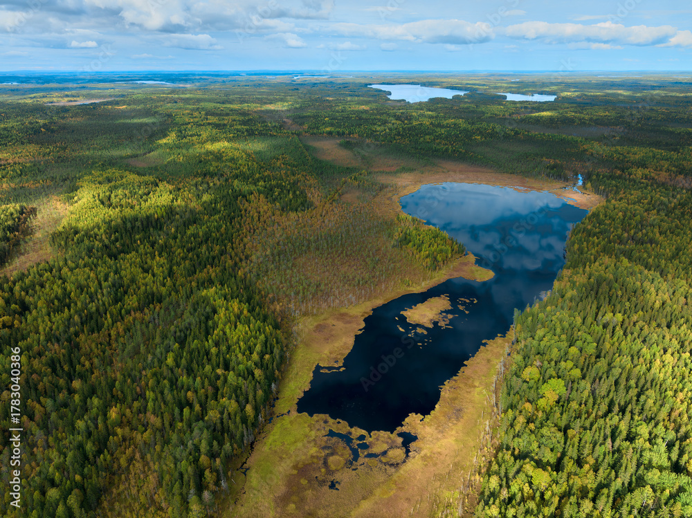 Fototapeta premium Scenic aerial view of a tranquil forest landscape with lakes and diverse greenery during a sunny day
