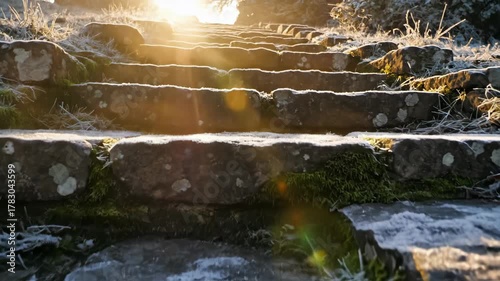 Stone steps some covered with frost lead upward toward the sun Patches of moss and grass add a touch of green to the scene