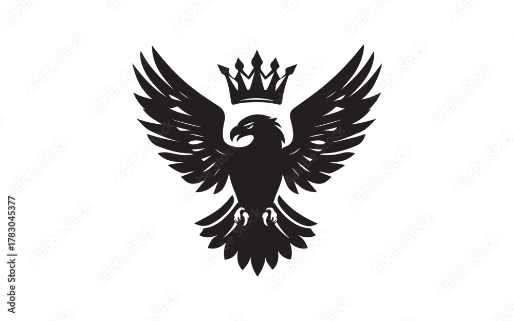 Obraz premium eagle with wings