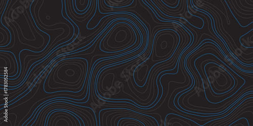 Abstract topographic map background with smooth contour lines in dark shades and subtle blue highlights. Modern minimalistic design, ideal for technology, geography, or data visualization concepts.
