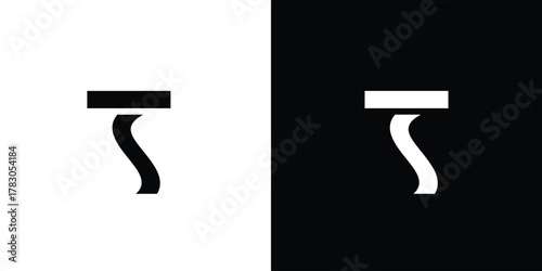 Modern and unique letter TS initials logo design