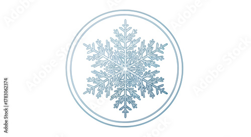 A detailed, realistic illustration of a single crystal snowflake enclosed within a double-ring circle.
