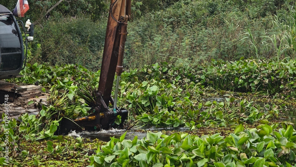 Fototapeta premium Excavator dredgers transport water hyacinth in river.