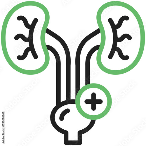 Kidney Illustration for Health: A schematic illustration showcases the human kidneys, a vital organ, accompanied by a symbol indicating positive health and vitality.