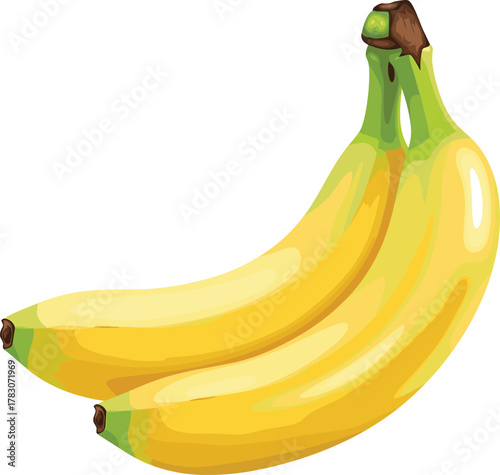 PrintRealistic Bunch of Ripe Yellow Bananas Vector Illustration - Healthy Tropical Fruit Graphic