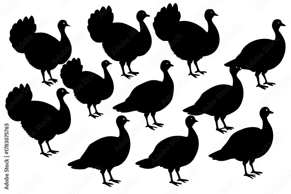 Obraz premium Turkey bird silhouette vector pack isolated on white background