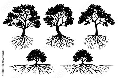 Tree with roots silhouette vector bundle isolated on white background