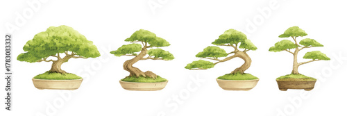 watercolor clean bonsai tree collection