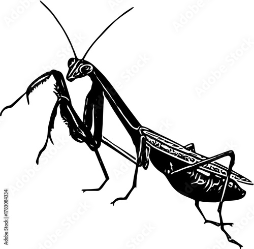 silhouette of a praying mantis svg